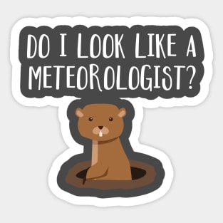 Do I Look Like A Meteorologist? Groundhog Day Funny Sticker